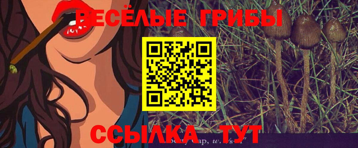 Галлюциногенные грибы Psilocybine cubensis Среднеуральск