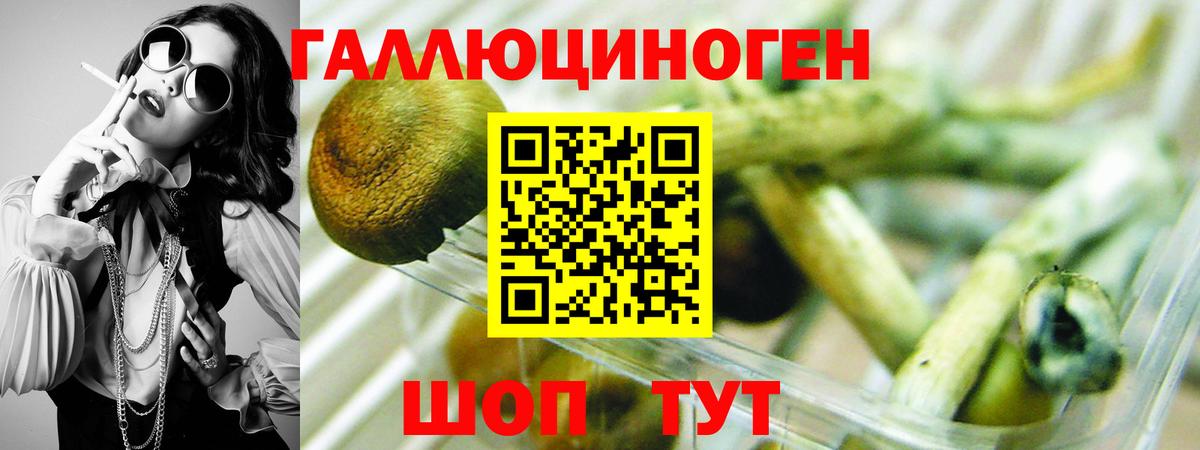 Среднеуральск  Галлюциногенные грибы прущие грибы  Вход с VPN  Галлюциногенные грибы Psilocybine cubensis 